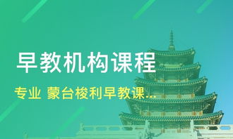 天津早期教育機(jī)構(gòu)概覽 喜童、新愛嬰與淘學(xué)培訓(xùn)淺析