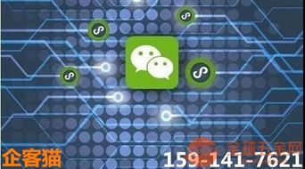深圳微信小程序開發(fā),深小程序定制,企客貓小程序公司